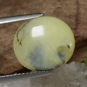 3.18カラットの天然イエローデンドライトモスオパール、オーバルカット、半透明