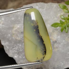 8.75カラットの天然イエローデンドライトモスオパール、ファンシーシェイプ、半透明