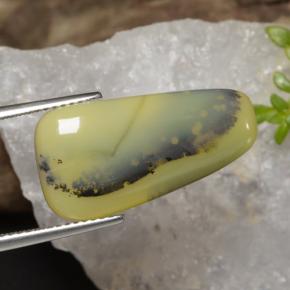 8.75カラットの天然イエローデンドライトモスオパール、ファンシーシェイプ、半透明