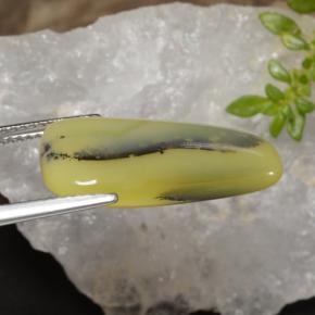 8.75カラットの天然イエローデンドライトモスオパール、ファンシーシェイプ、半透明