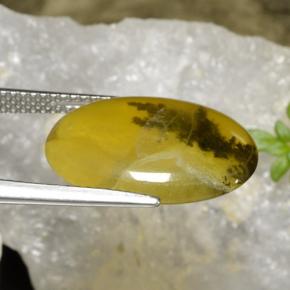 6.54カラットの天然イエローデンドライトモスオパール、オーバルカット、半透明