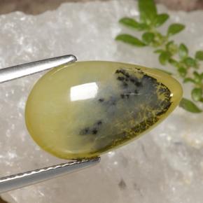 4.60カラットの天然イエローデンドライトモスオパール、洋梨の形、半透明