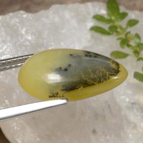 4.60カラットの天然イエローデンドライトモスオパール、洋梨の形、半透明