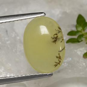 2.39カラットの天然イエローデンドライトモスオパール、オーバルカット、半透明