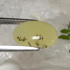 2.39カラットの天然イエローデンドライトモスオパール、オーバルカット、半透明