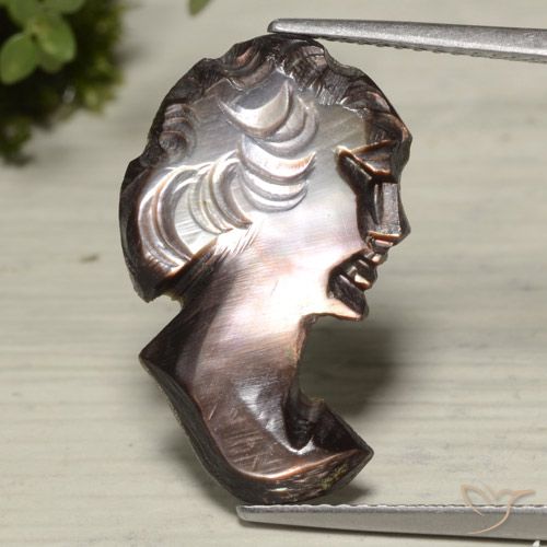 4.89ct 天然 ヒッコリーブラウン 真珠の母, ファンシー, オペーク
