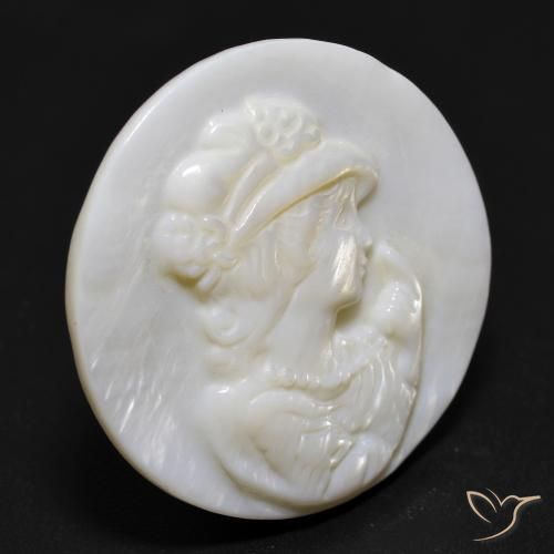 13.76カラットの天然パール・ホワイト真珠の母、ラウンドカット、オペーク