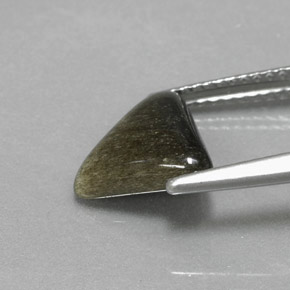 1.67カラットの天然ゴールドの輝き黒曜石、トリリオン、オペーク