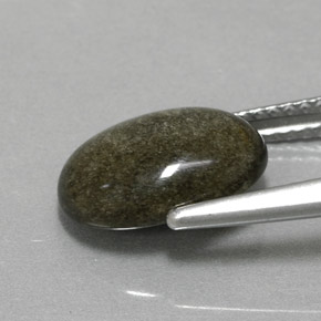 2.30カラットの天然ゴールドの輝き黒曜石、オーバルカット、オペーク