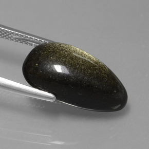 7.78カラットの天然ゴールドの輝き黒曜石、ファンシーシェイプ、オペーク