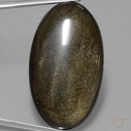 51.67ct 天然 ゴールドシーンのあるブラック 黒曜石, 楕円形, オペーク