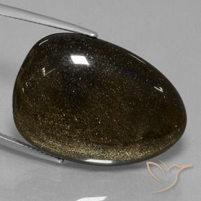 29.28カラットの天然ゴールドシーンのあるブラック黒曜石、ファンシー、オペーク