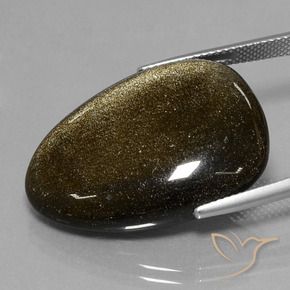 29.28カラットの天然ゴールドシーンのあるブラック黒曜石、ファンシー、オペーク
