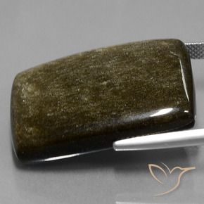 42.34カラットの天然ゴールドシーンのあるブラック黒曜石、クッション、オペーク