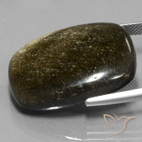 30.10カラットの天然ゴールドシーンのあるブラック黒曜石、クッション、オペーク