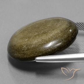 32.24カラットの天然ゴールドシーンのあるブラック黒曜石、ラウンドカット、オペーク