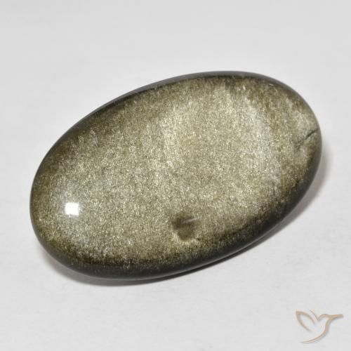 20.73ct 天然 ゴールドシーンのあるブラック 黒曜石, 楕円形, オペーク