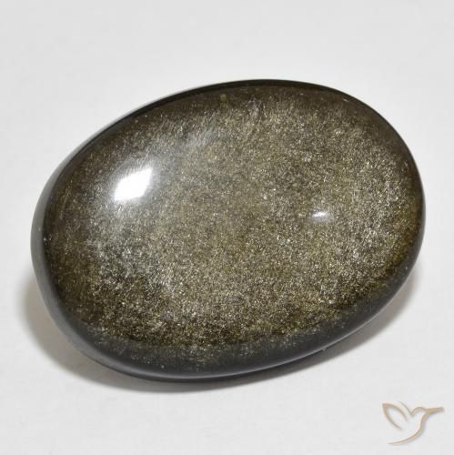 22.54ct 天然 ゴールドシーンのあるブラック 黒曜石, 楕円形, オペーク