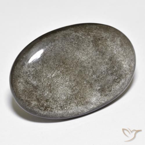 24.72ct 天然 ミディアムグレー 黒曜石, 楕円形, オペーク