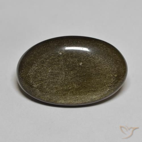 13.63ct 天然 ゴールドシーンのあるブラック 黒曜石, 楕円形, オペーク