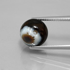 6.99カラットの天然黒オニキス、球体 / ボール、オペーク