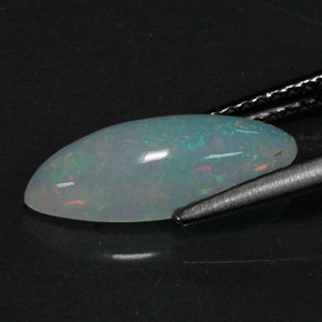 1.56カラットの天然マルチカラーオパール（14.7×6 mm・透明）