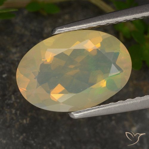 1.46ct 天然 マルチカラー オパール, 楕円形, 透明