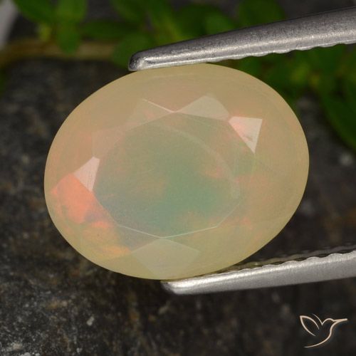 1.54ct 天然 マルチカラー オパール, 楕円形, 半透明