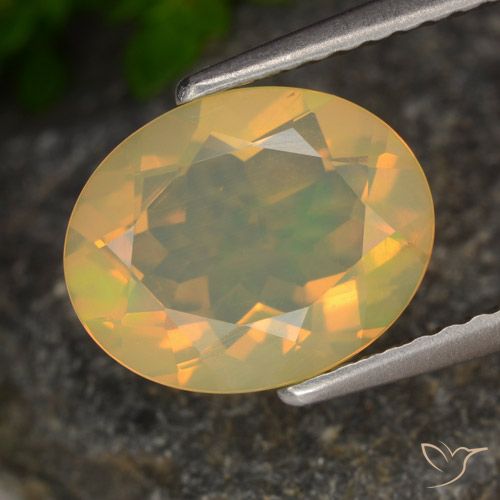1.54ct 天然 マルチカラー オパール, 楕円形, 透明