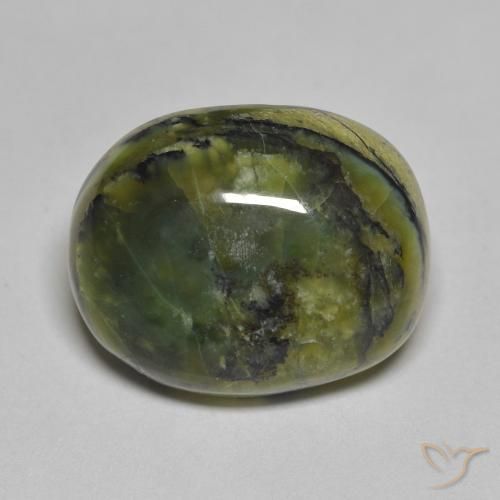 12.72ct 天然 フォレストグリーン オパール, 楕円形, オペーク