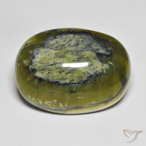 33.65ct 天然 ウォームグリーン オパール, 楕円形, オペーク