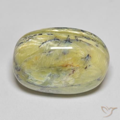 20.70ct 天然 ミディアムグリーン オパール, 楕円形, オペーク