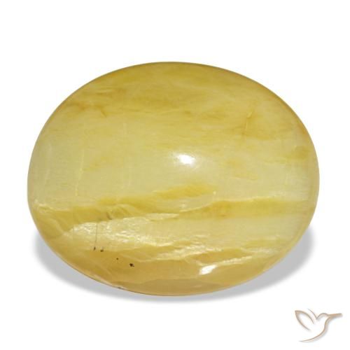 8.78ct イエロー オパール, 楕円形, オペーク
