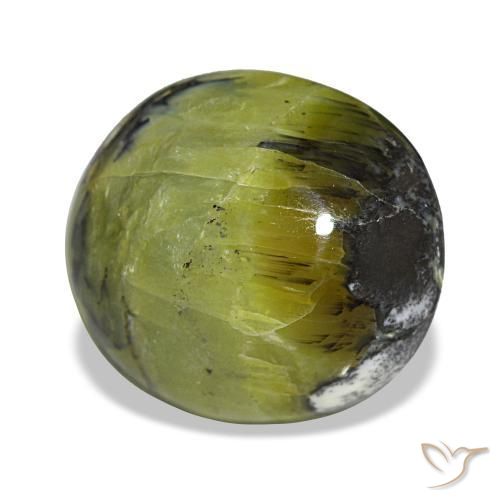 7.49カラットの天然ウォームグリーンオパール（14.8×13.1 mm・オーバルカット）