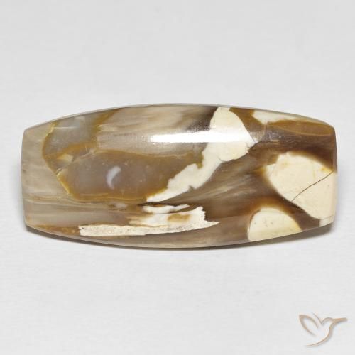 31.21ct 天然 マルチカラー ピーナッツウッド, クッション, オペーク