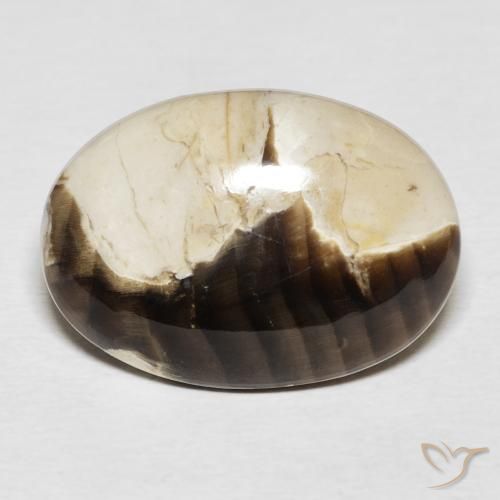 15.62ct 天然 マルチカラー ピーナッツウッド, 楕円形, オペーク