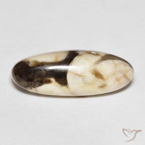 12.85ct 天然 マルチカラー ピーナッツウッド, 楕円形, オペーク