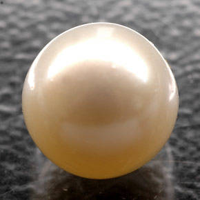 2.52カラットの天然クリームパール（7.12 mm・球体 / ボール）