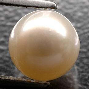 2.52カラットの天然クリームパール（7.12 mm・球体 / ボール）