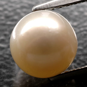 2.52カラットの天然クリームパール（7.12 mm・球体 / ボール）
