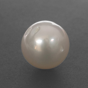 8.28カラットの天然クリームパール（10.55 mm・球体 / ボール）