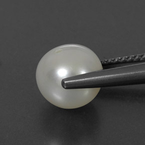 3.50カラットの天然クリームパール（8.08 mm・球体 / ボール）