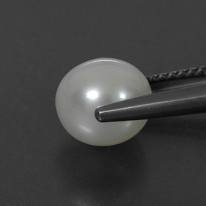 3.55カラットの天然クリームパール（8.18 mm・球体 / ボール）
