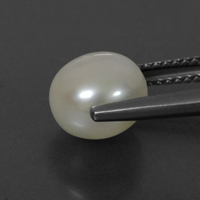 3.90カラットの天然クリームパール（8.53 mm・球体 / ボール）