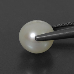 3.75カラットの天然クリームパール（8.29 mm・球体 / ボール）