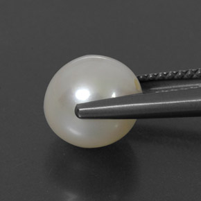 3.82カラットの天然クリーム色パール、スフェア / ボール、オペーク