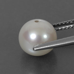 3.81カラットの天然クリームパール（8.28 mm・球体 / ボール）