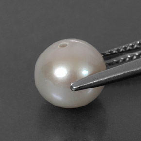 3.60カラットの天然クリームパール（8.16 mm・球体 / ボール）