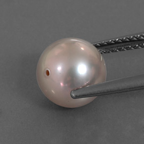 3.37カラットの天然シルバーピンクパール（7.90 mm・球体 / ボール）