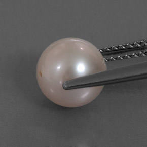3.30カラットの天然クリームピンクパール（7.80 mm・球体 / ボール）